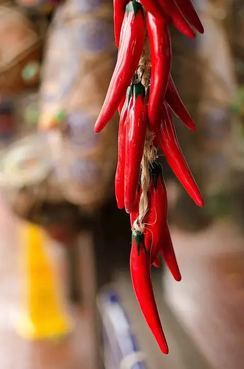 メキシコ時代。 · 2