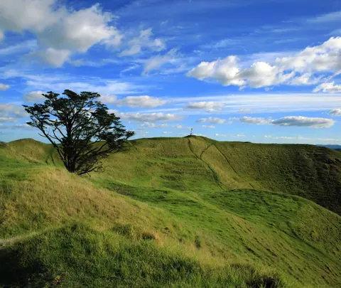 Maungawhau / Mount Eden