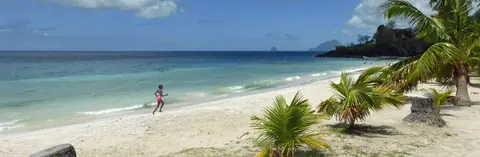 Anse Figuier
