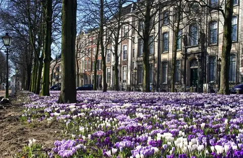 Lange Voorhout