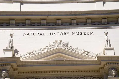 Museo di Storia Naturale di San Diego · 2