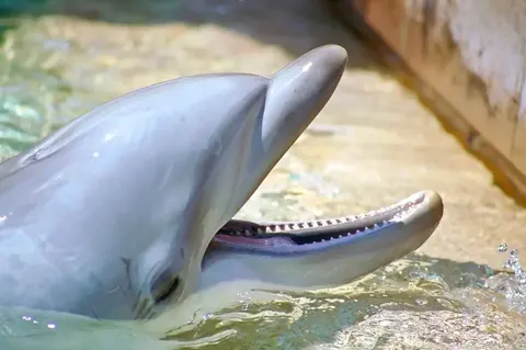 SeaWorld San Diego