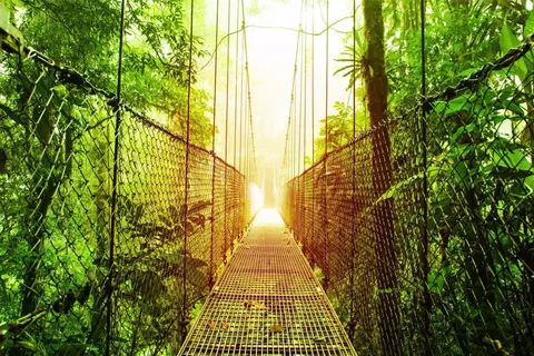 Wildlife, Forests and Outdoor Activities
