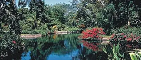 Jardim Botânico de Nassau