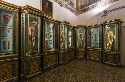 Museu do Palácio Poggi