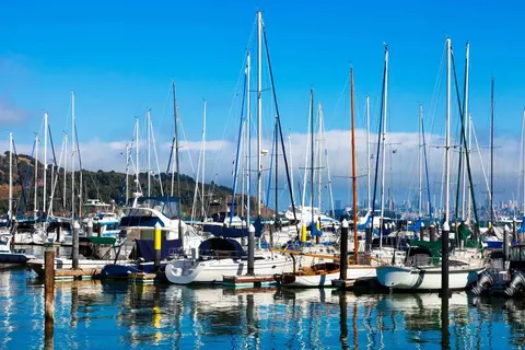 Tiburon · 2