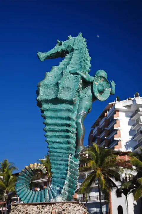 Getting Around Puerto Vallarta · 2