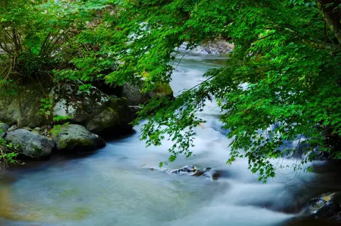 Parco nazionale Fuji-Hakone-Izu