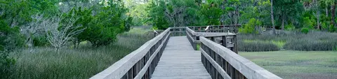 Parco statale dell'isola di Skidaway