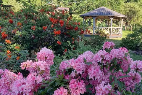 University of Latvia Botanical Garden