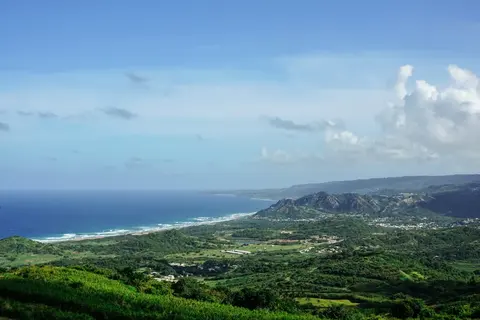 Cherry Tree Hill