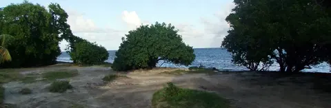 Spiaggia di Pointe la Rose