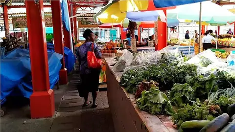 Mercado de Victoria, historia y jardines