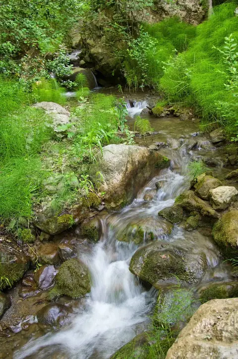 Parque Rouken Glen · 2