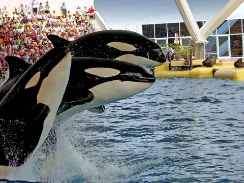 SeaWorld San Diego · 2